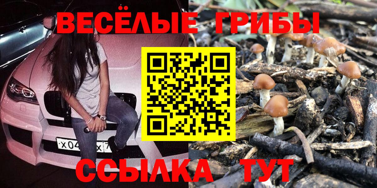Псилоцибиновые грибы Psilocybe  Галлюциногенные грибы мицелий  Вход с VPN  Нарткала 