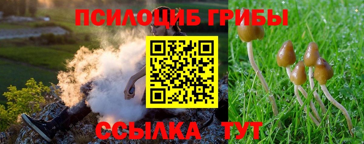 Галлюциногенные грибы мухоморы Нарткала